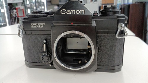 Canon black film slr - canon,
